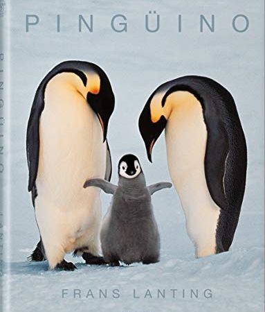 Pingüino - Lanting Frans - Taschen - 9783836530996