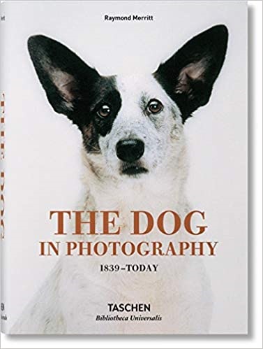 The dog in photography. 1839-today - Merritt Raymond - Taschen - 9783836567473