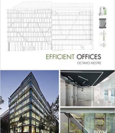 Efficient offices - Mestre Octavio - Instituto Monsa de ediciones - 9788416500253