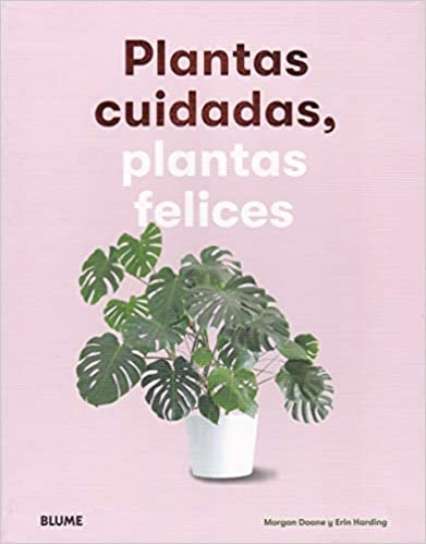 Plantas cuidadas