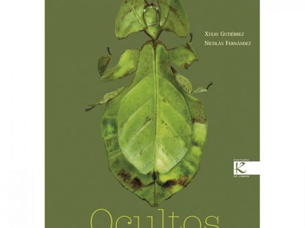 Ocultos - Gutierrez Julio Fernandez Nicolas - Kalandraka - 9788415250425