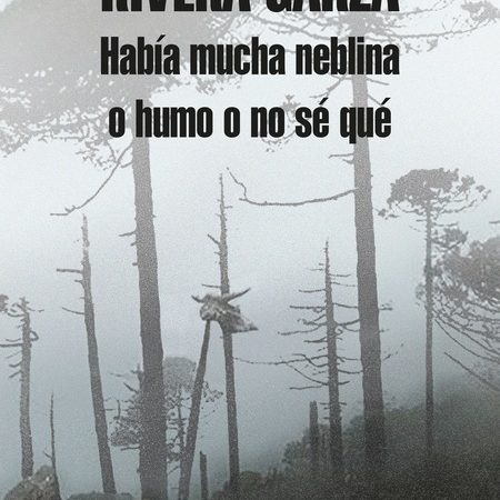 Habia mucha neblina o humo o no se que - Rivera Garza Cristina - Literatura Random House - 9786073149471