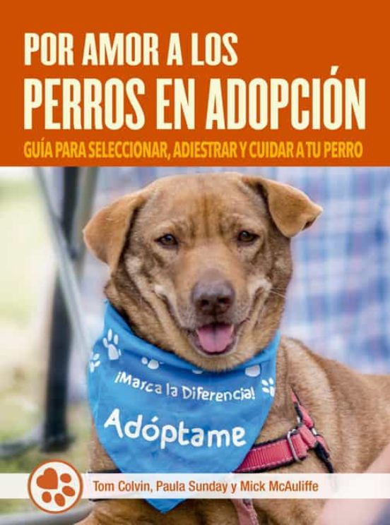 Por amor a los perros en adopción: Guia para seleccionar