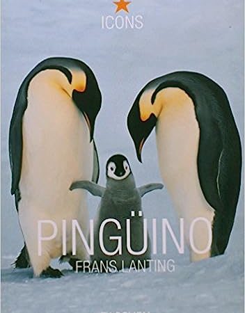 Pingüino - Lanting