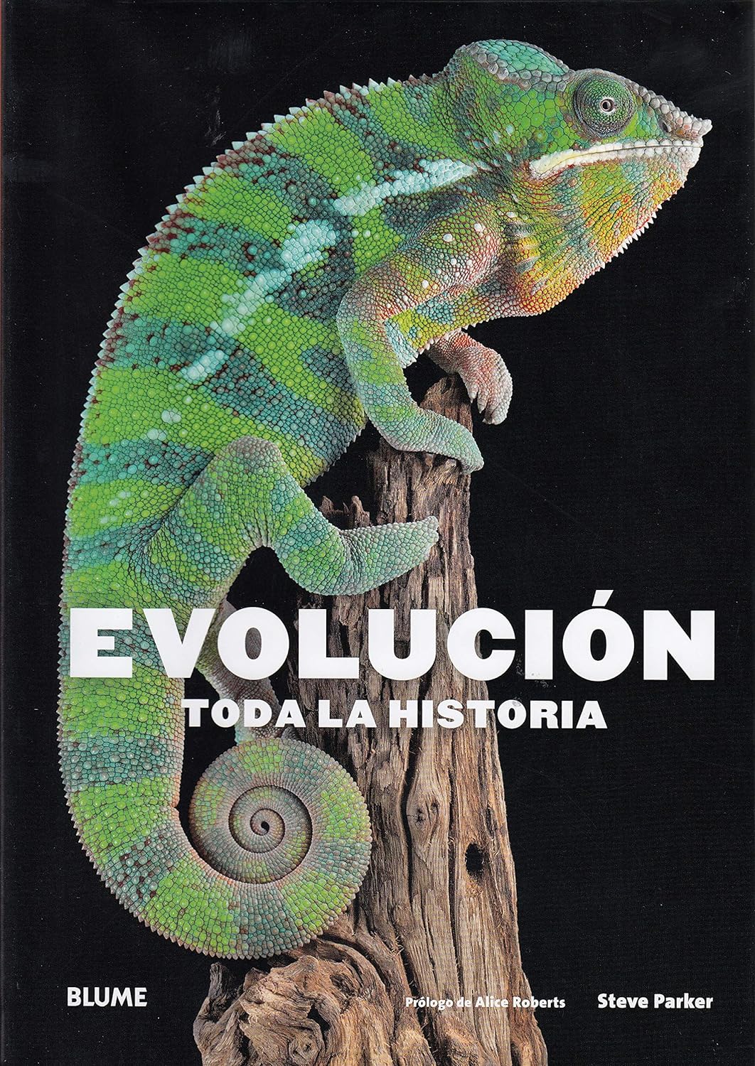 Evolución. Toda la historia (NE) - Parker Steve; Roberts Alice - Blume - 9788417492380