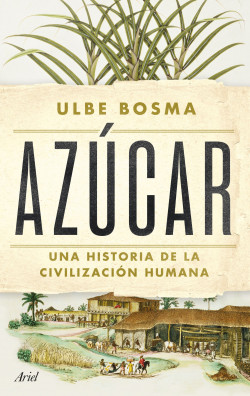 Azúcar - Bosma Ulbe - Ariel - 9786287569874